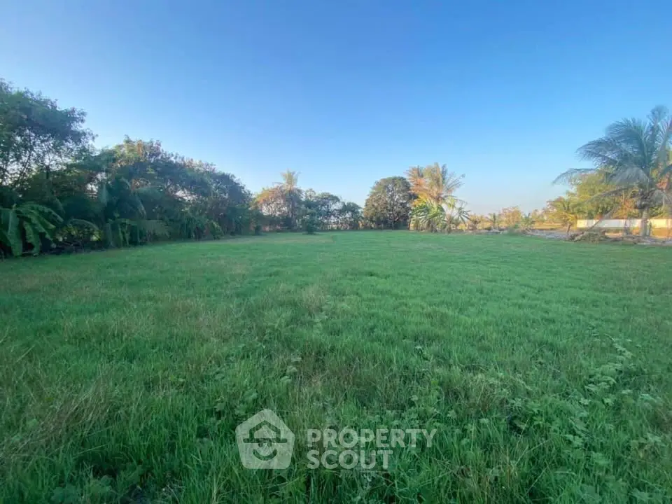 Expansive green land plot with lush trees, perfect for development or agriculture.