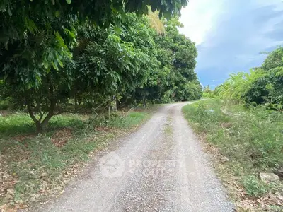 Scenic rural driveway surrounded by lush greenery and trees