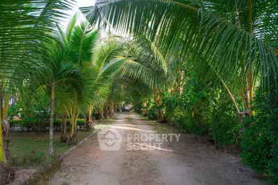 image_rental-26981076