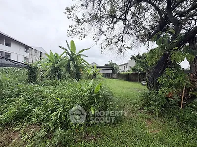 Spacious green garden area with lush vegetation and trees, perfect for outdoor activities and relaxation.