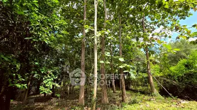 image_rental-31766962