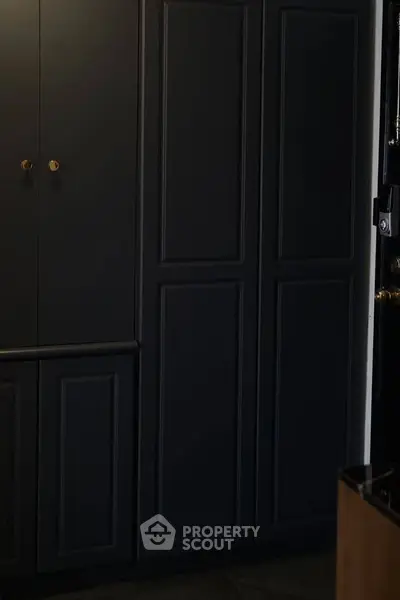 Elegant dark cabinetry in a modern interior space.