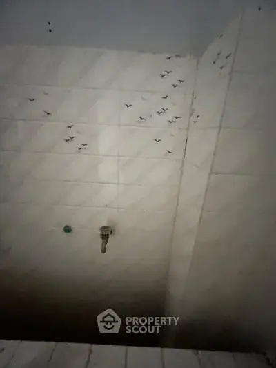Minimalist bathroom with white tiled walls and unique bird pattern design.