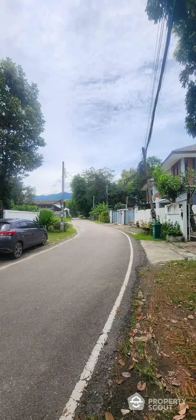 Charming suburban street view with lush greenery and modern homes.