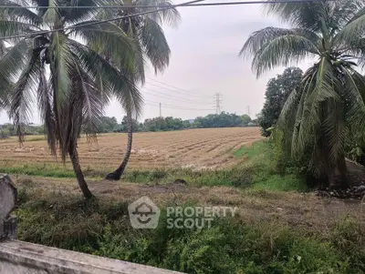 Scenic view of lush green farmland with palm trees and open fields, perfect for agricultural investment.