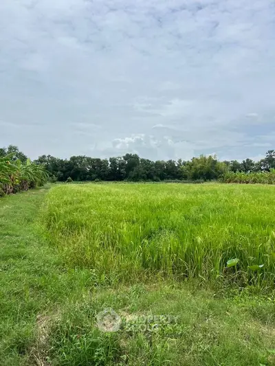 Expansive green field with lush vegetation under a clear sky, ideal for development or agriculture.