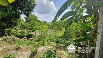 Lush tropical garden with banana trees and vibrant greenery under a clear blue sky.