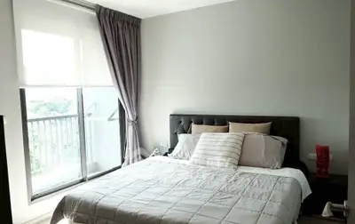 image_rental-29012091