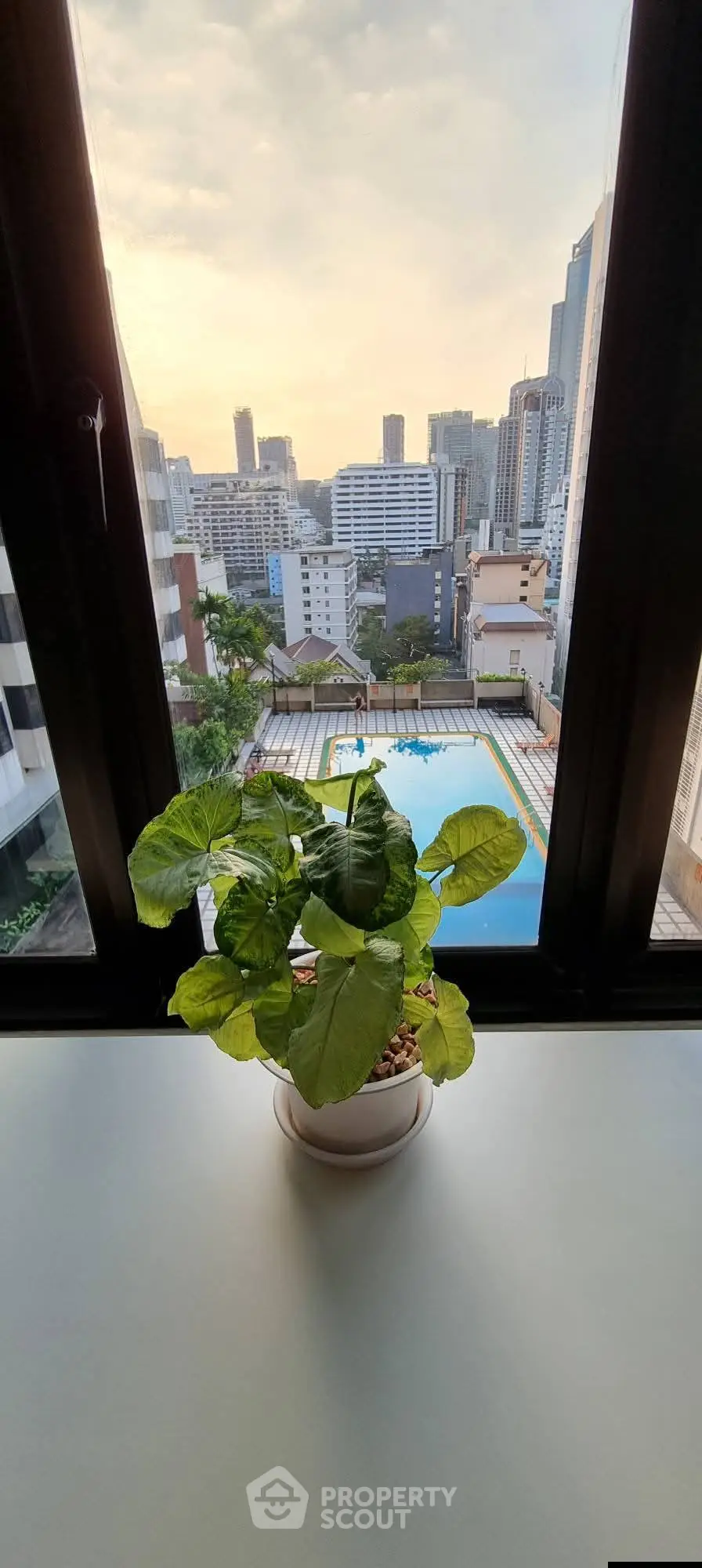 Stunning cityscape view from window with pool and lush plant