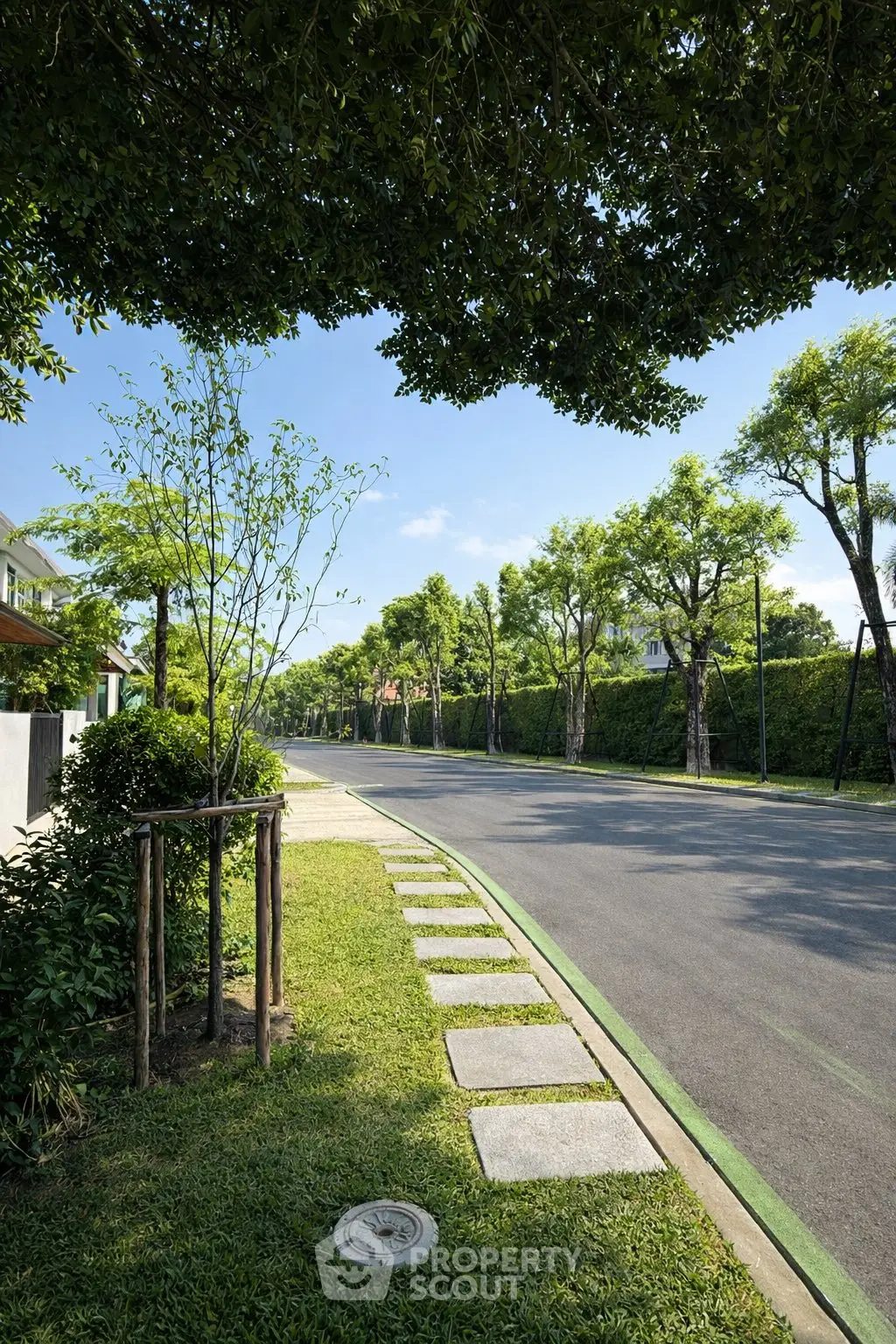 Scenic residential street with lush greenery and modern homes, perfect for tranquil living.
