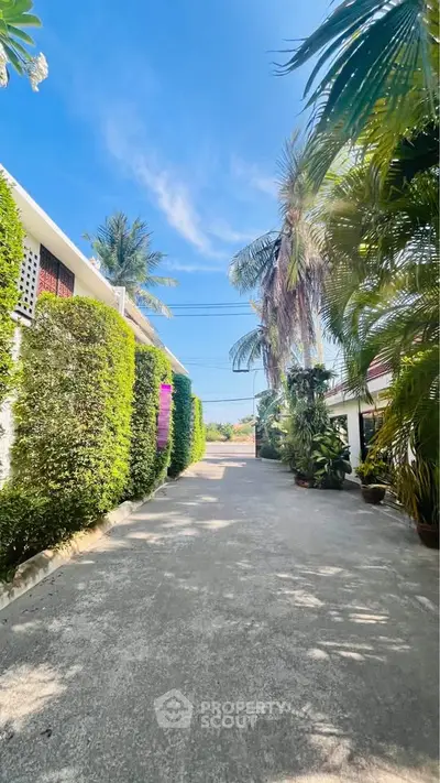 Charming tropical driveway with lush greenery and palm trees leading to a serene residential area.