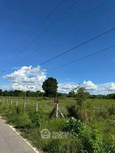 Expansive green land with clear blue sky, perfect for development or agriculture.