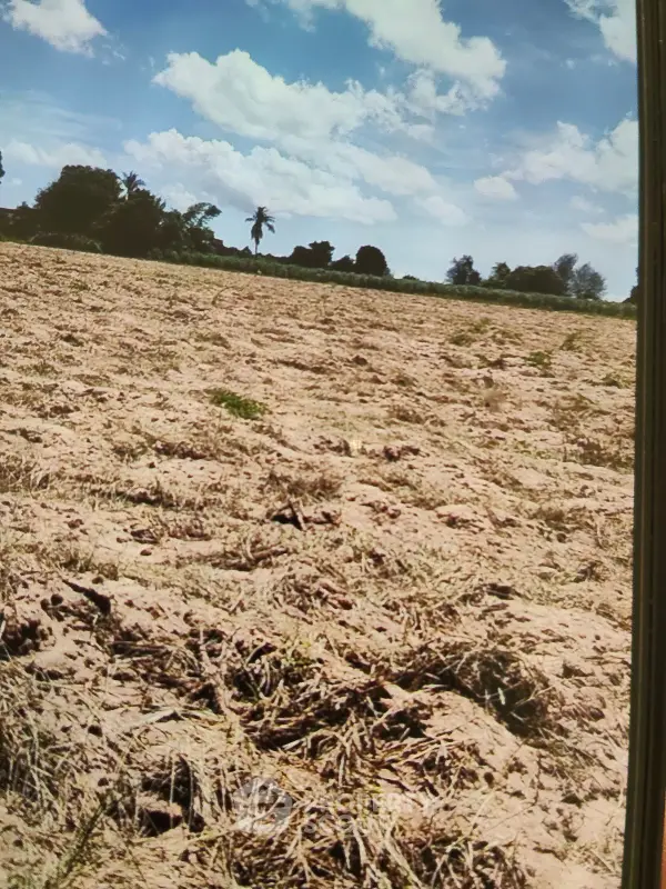 image_rental-28208131