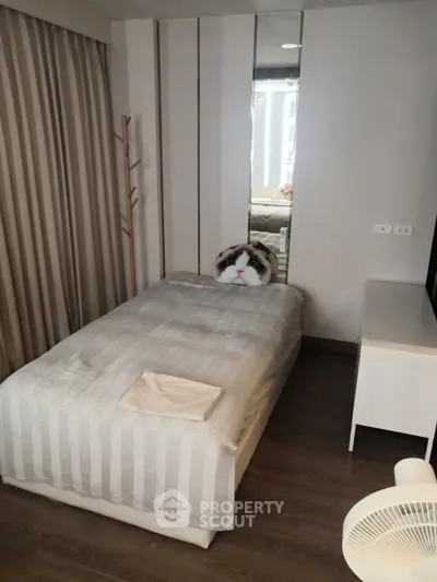 image_rental-31398707