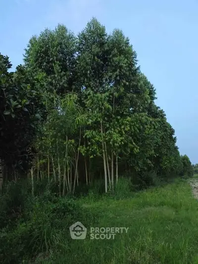 image_rental-28965754