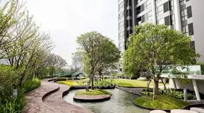 image_rental-30607202