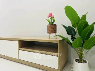 Stylish modern living room with sleek wooden cabinet and vibrant indoor plants.