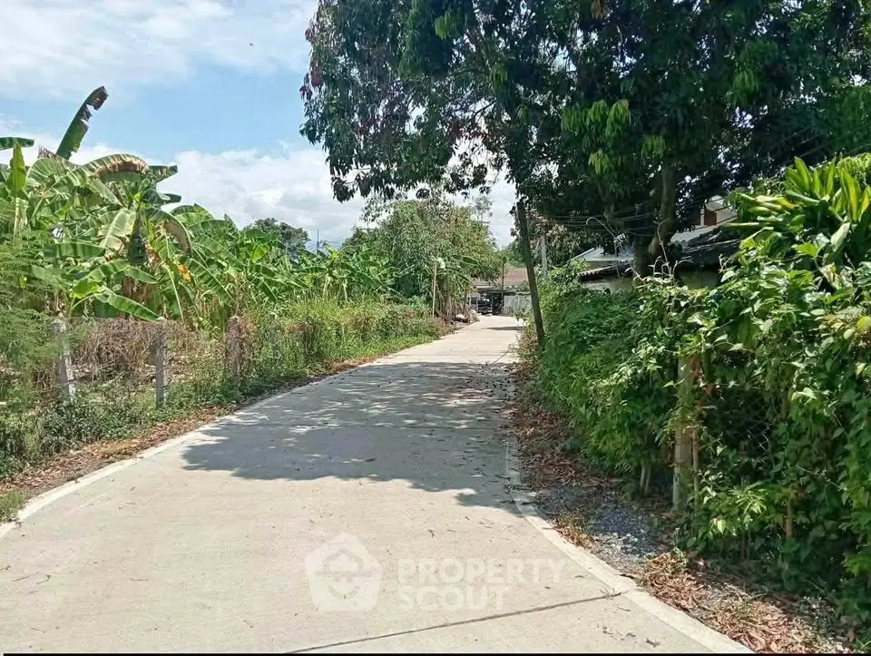 Scenic rural road surrounded by lush greenery and trees, perfect for tranquil living.