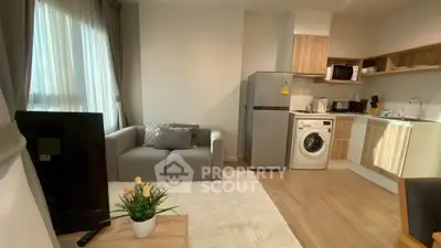 Modern open-plan living room with kitchen, featuring cozy sofa and washing machine.