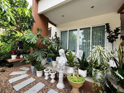 image_rental-28249924