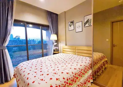 image_rental-30524093