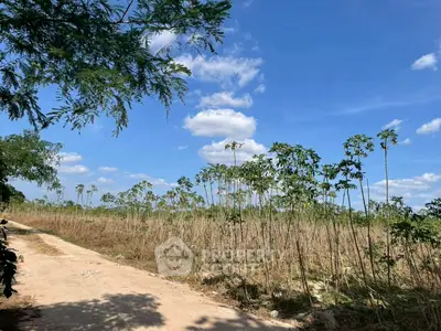 image_rental-27695469