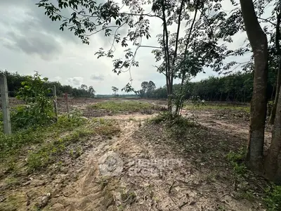 Expansive plot of land with lush greenery, perfect for development or agriculture.