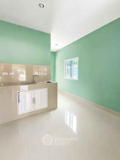 Modern kitchen with sleek design and green walls, featuring a compact layout and ample natural light.