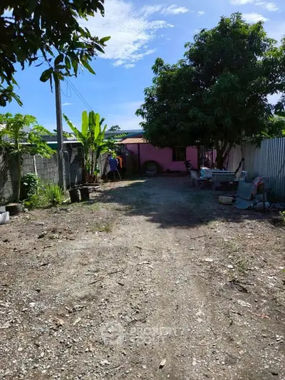 Spacious outdoor area with lush greenery and rustic charm, perfect for gardening enthusiasts.