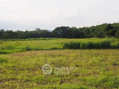 Expansive green field perfect for development with lush surroundings and serene atmosphere.