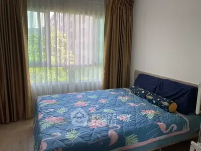 image_rental-27573935