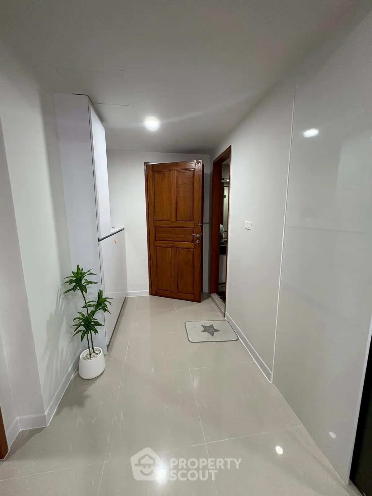 Modern hallway with sleek design and wooden door, featuring a potted plant for a touch of greenery.