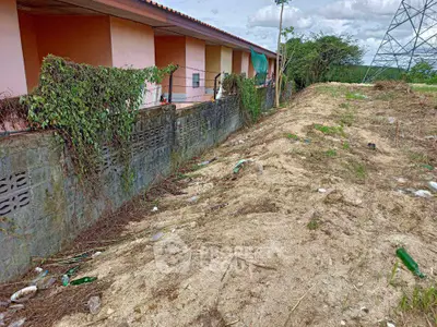 image_rental-29048997