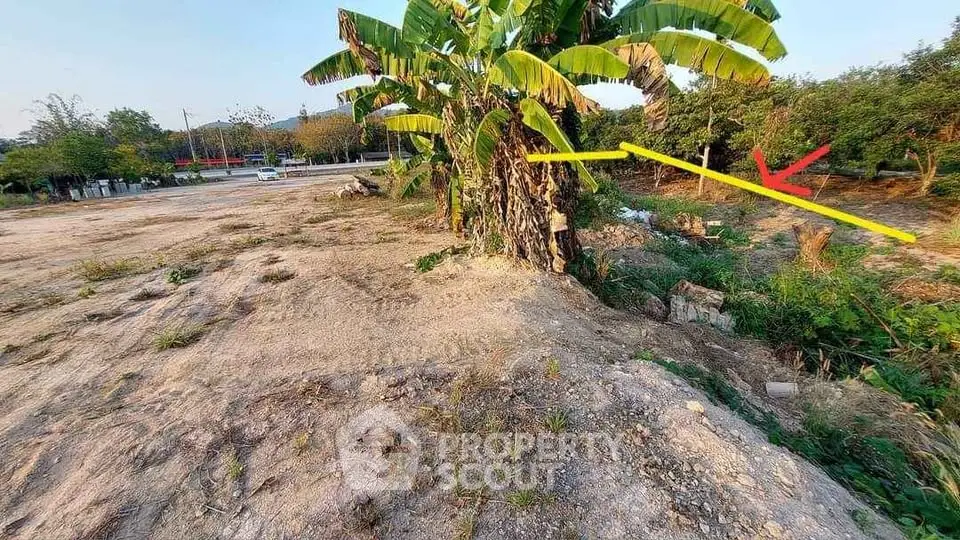 Vacant land with potential for development, featuring lush greenery and accessible location.
