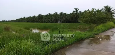 Expansive green field with lush palm trees, ideal for agricultural development.
