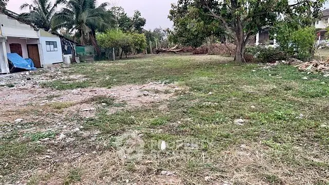 Spacious vacant land with lush greenery, ideal for development or investment opportunities.