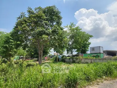 Expansive land plot with lush greenery and clear blue sky, ideal for development opportunities.