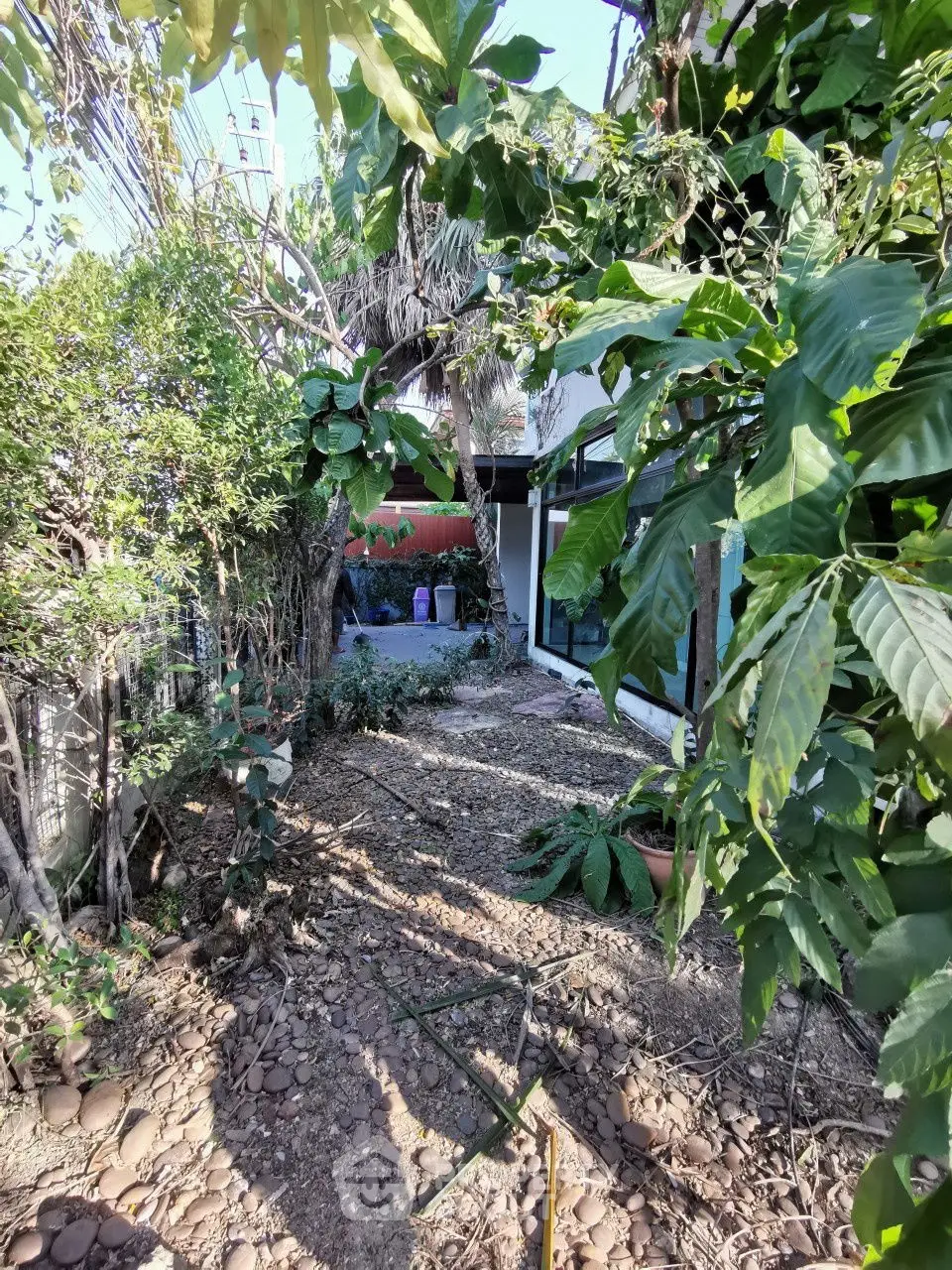 Charming garden area with lush greenery and pathway leading to a cozy home entrance.