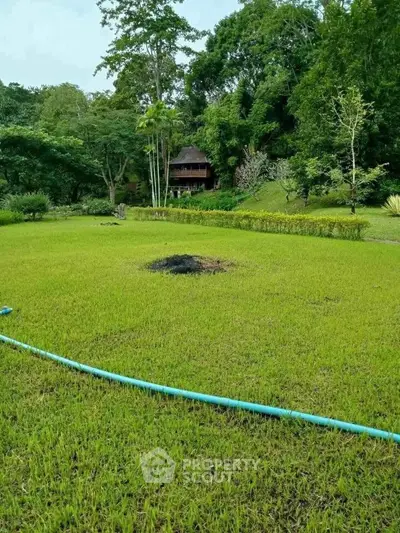 Lush green garden with distant view of a charming wooden house surrounded by trees, perfect for nature lovers.