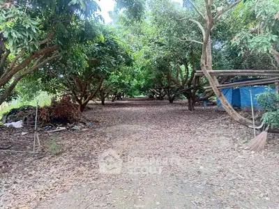 Lush garden area with mature trees and natural pathway, perfect for serene outdoor living.
