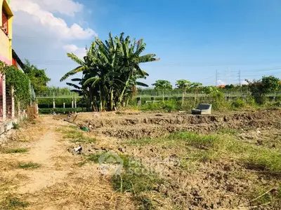 image_rental-27237545