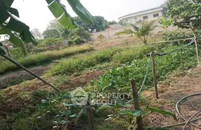 image_rental-21904194