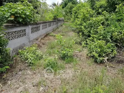 Lush green garden area with a concrete boundary wall, perfect for landscaping opportunities.