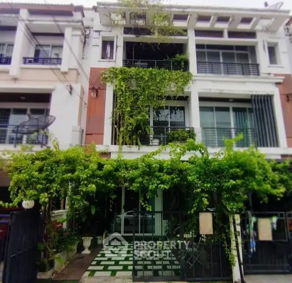 image_rental-21877639