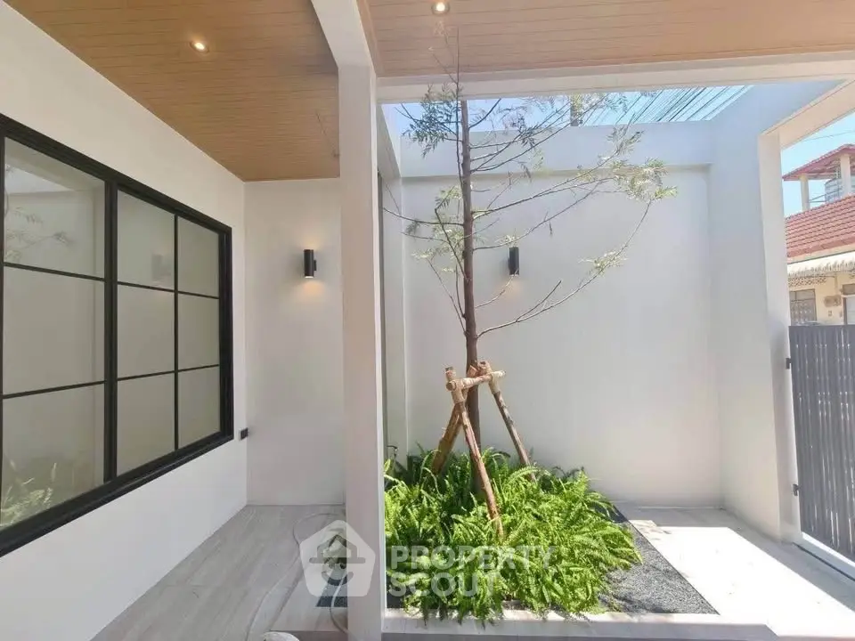 Modern minimalist courtyard with skylight and greenery in a stylish home