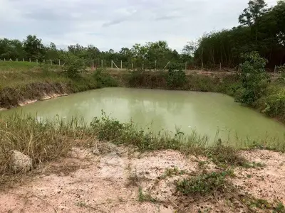 Scenic land plot with natural pond and lush greenery, ideal for development or agriculture.