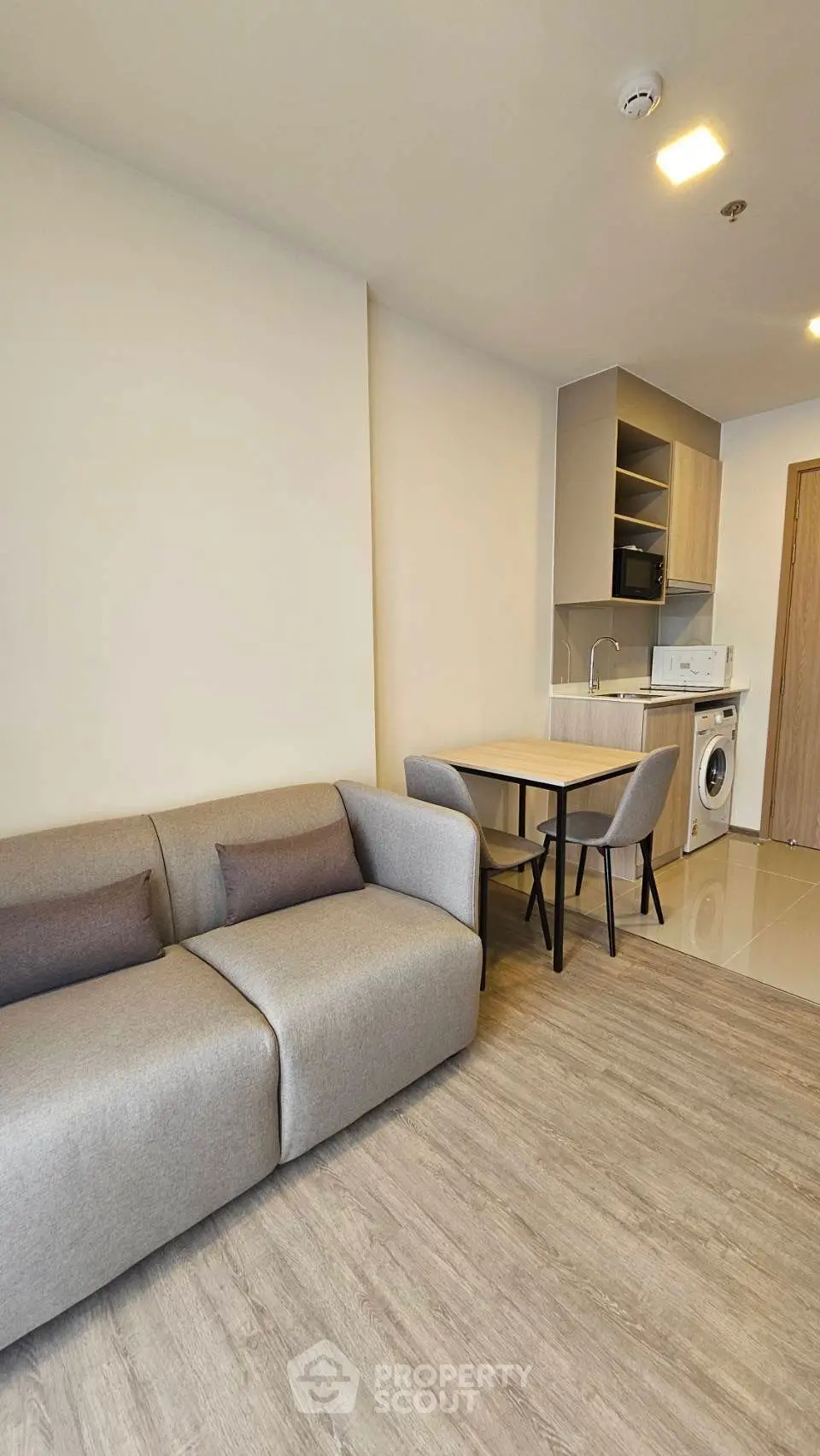 Modern apartment interior with cozy living room and compact kitchen featuring washing machine and microwave.
