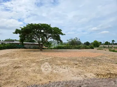 Expansive vacant land with a solitary tree, perfect for development opportunities.