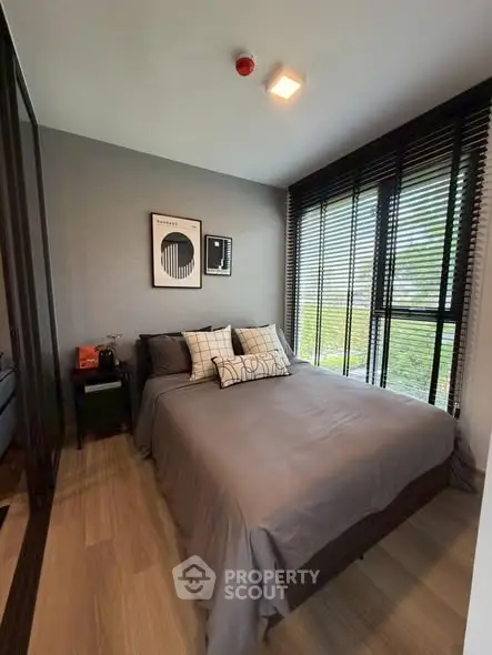 image_rental-31360496