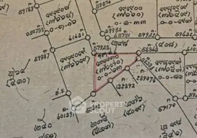 Detailed schematic map showcasing property boundaries and plot numbers.